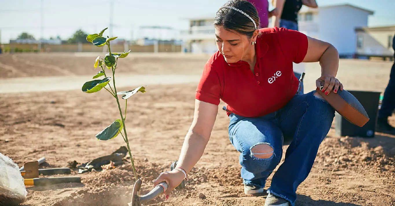 Colaboradora de EXE sembrando plantas en la jornada de reforestación.