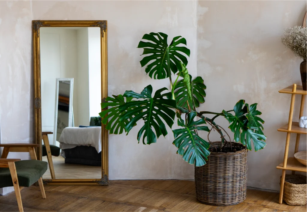 Uso de espejos para hacer lucir mas amplio tu hogar